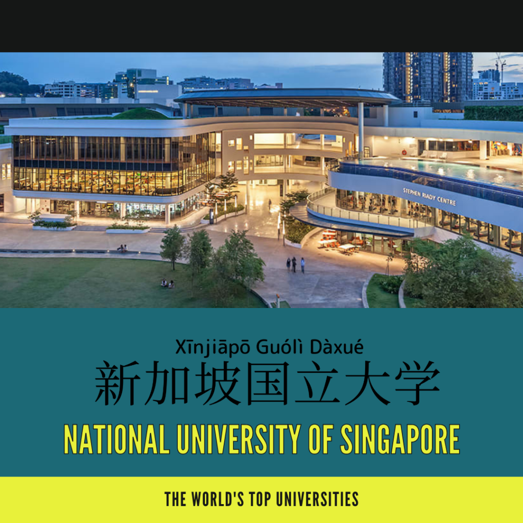 National University of Singapore-新加坡國立大學-新加坡国立大学-xīn jiā pō guó lì dà xué 