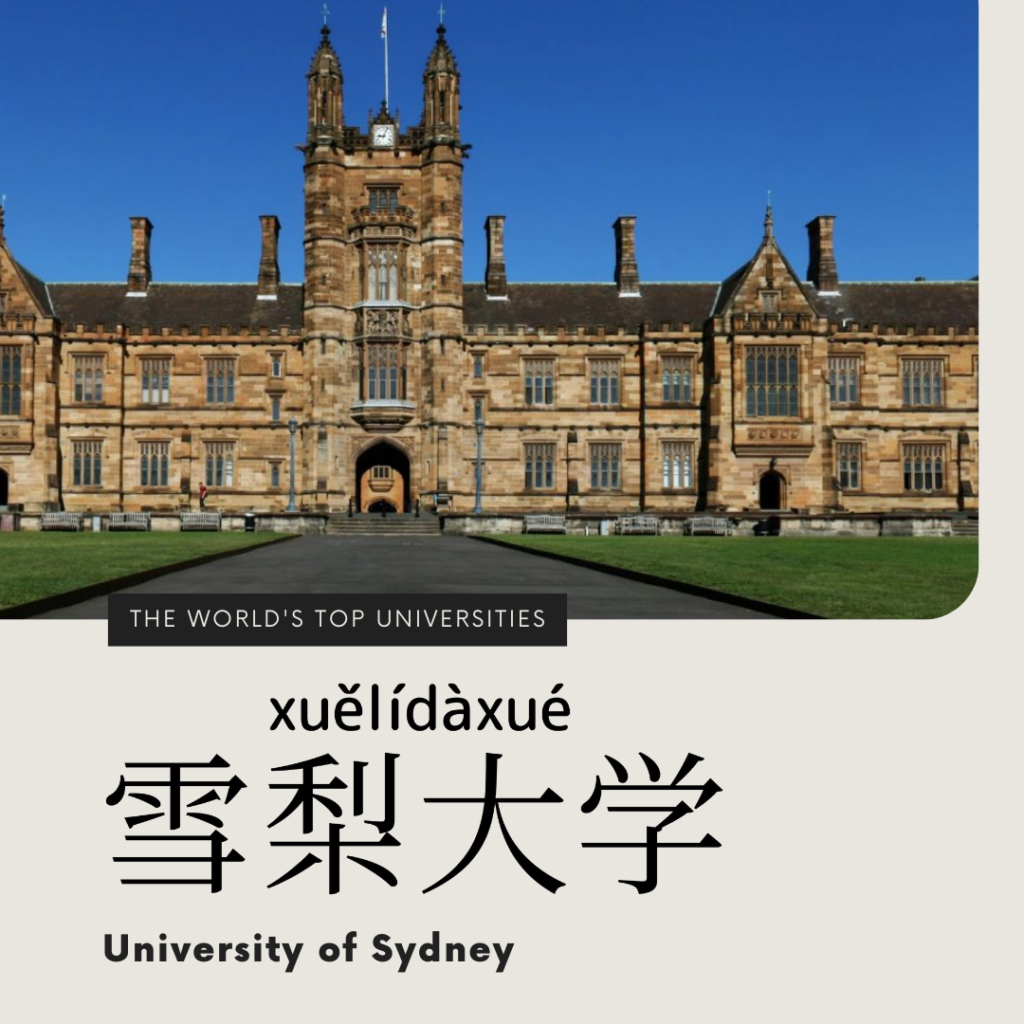 University of Sydney-雪梨大學-雪梨大学-xuě lí dà xué 