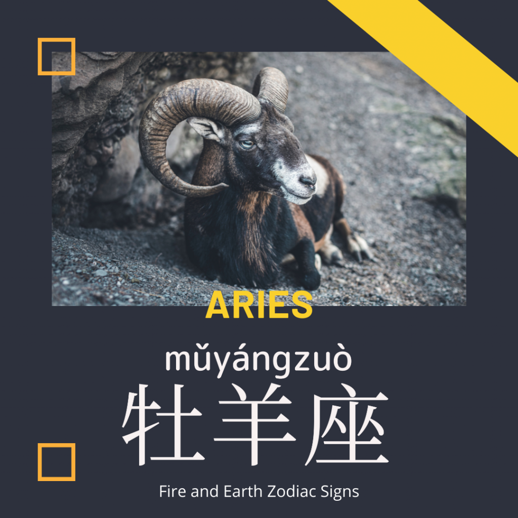 Aries-牡羊座-牡羊座-mǔ yáng zuò