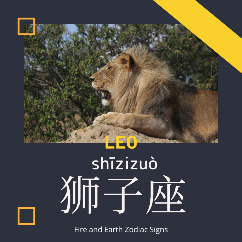 Leo-獅子座-狮子座-shī zǐ zuò