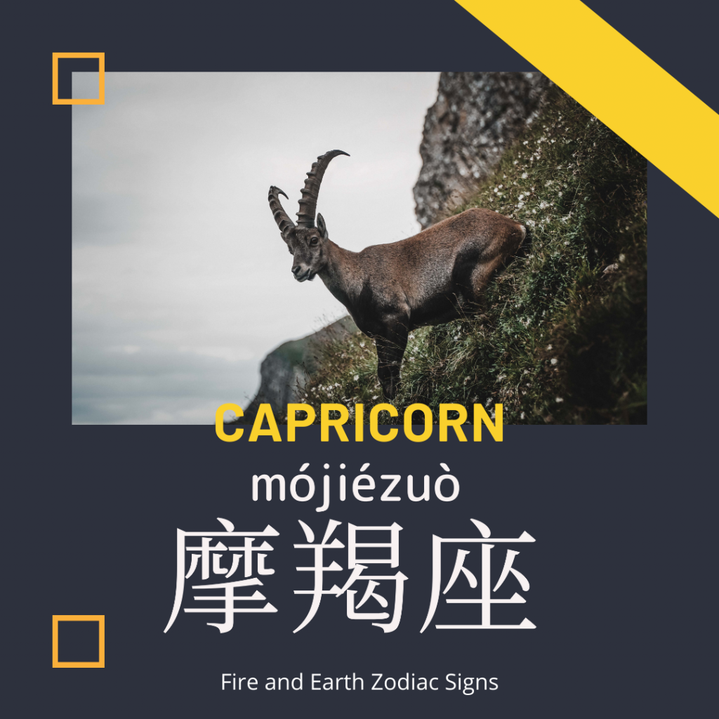 Capricorn-摩羯座-摩羯座-mó jié zuò