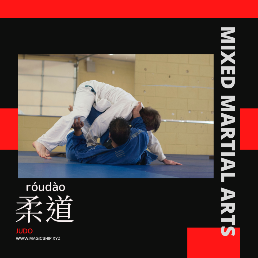 Judo-柔道-柔道-róu dào