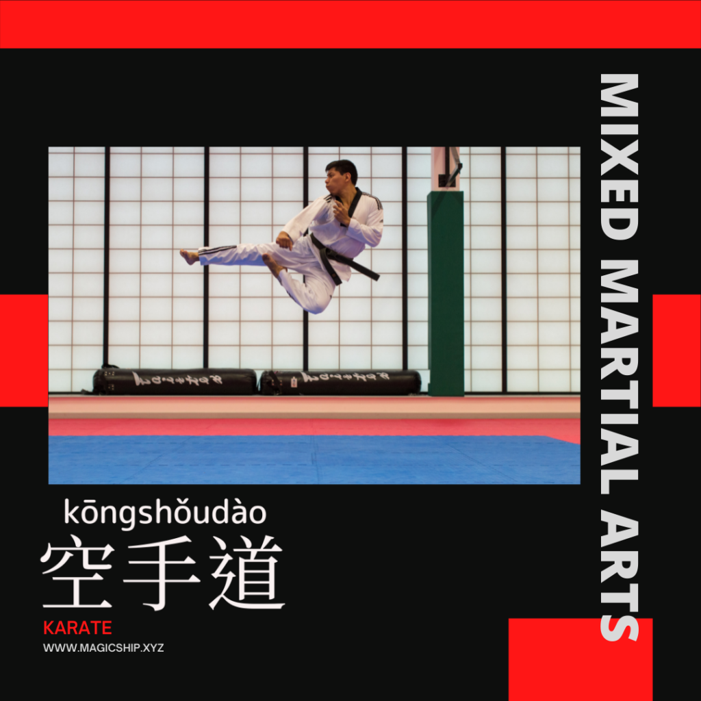 Karate-空手道-空手道-kōng shǒu dào