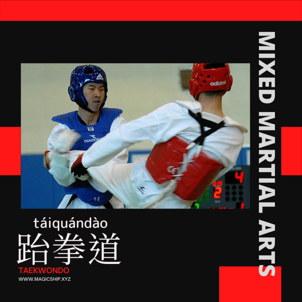 Taekwondo-跆拳道-跆拳道-tái quán dào