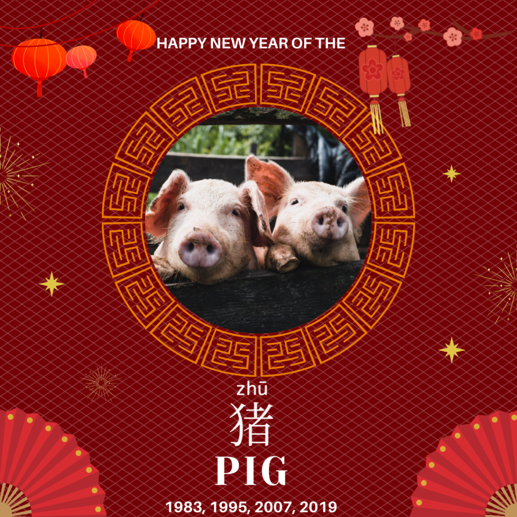 Pig-豬-猪-zhū